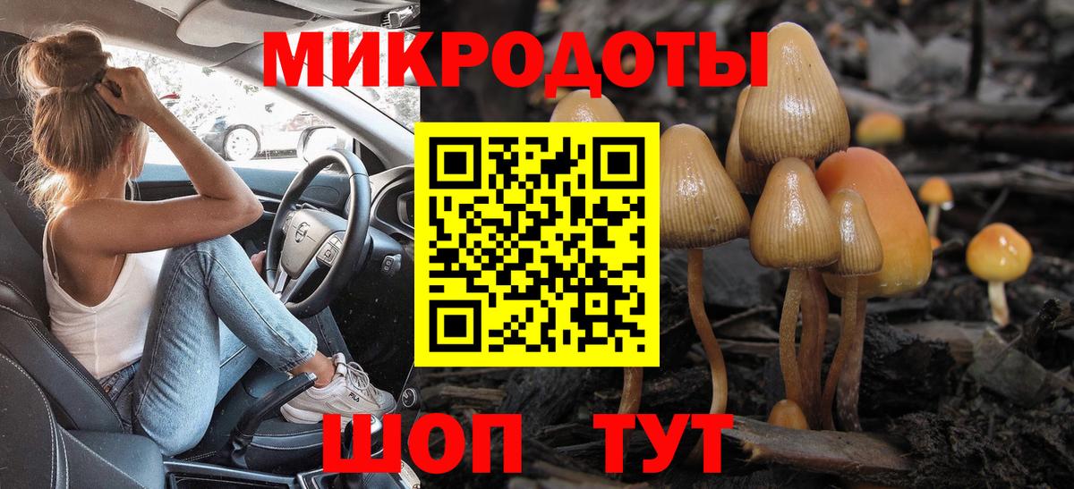 Псилоцибиновые грибы GOLDEN TEACHER Еманжелинск